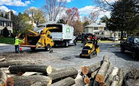 Best Arborist Consultation Services  in Westwood Lakes, FL